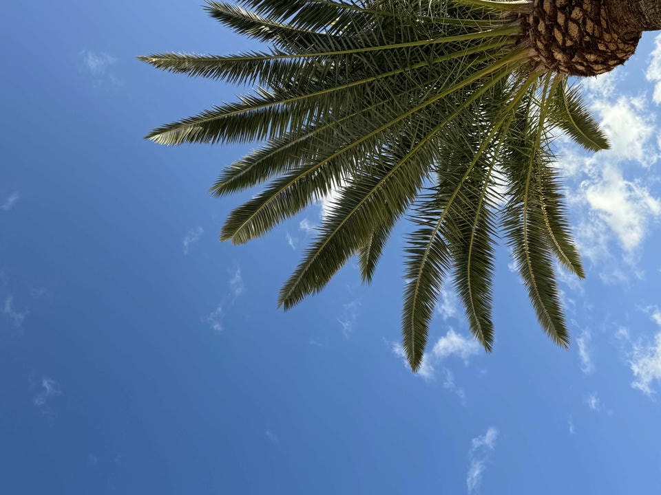 Villa Hugo - Tauro, Canaria